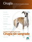 CIRUGIA SIN SANGRADO EN LA CLINICA DE PEQUEÑOS ANIMALES - 9788494282973