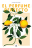 PERFUME PERFECTO,EL | BURR,CHANDLER | SUPERFLUA | 9788494875212