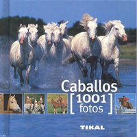 CABALLOS - 9788499280875