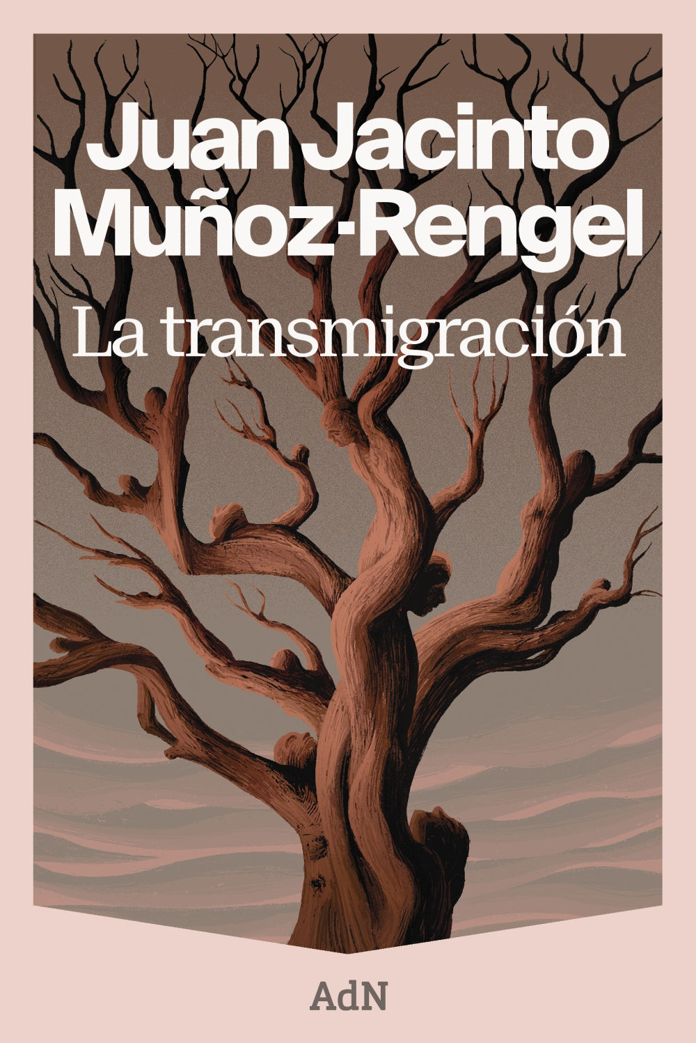 La transmigración. Juan Jacinto Muñoz-Rengel (AdN Editorial Grupo Anaya) 9788410138964