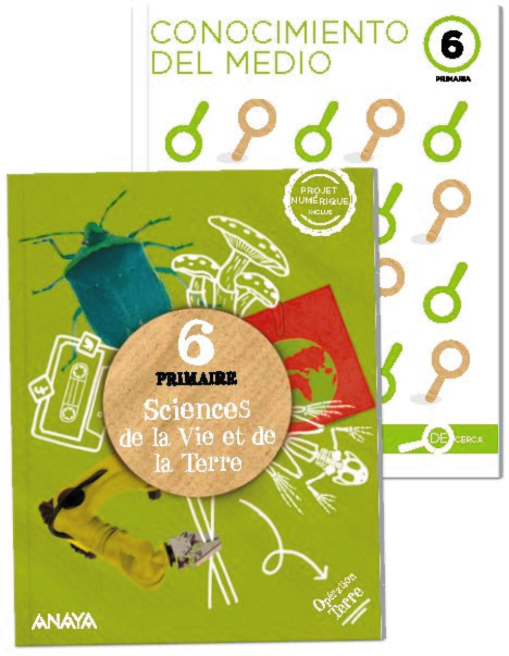 Sciences de la Vie et de la Terre 6. Livre de l'élève + De cerca (6º Primaria) Opération Terre | Varios autores | 9788467805314 (ANAYA TEXTO)