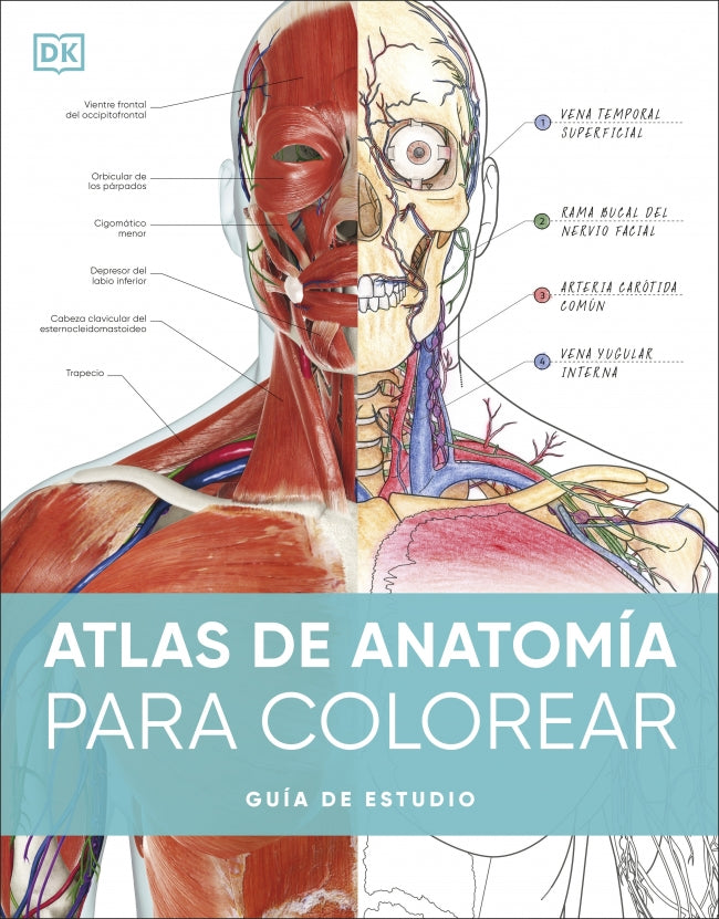 Atlas de anatomía para colorear: Guía de estudio