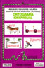 Ortografia Ideovisual 6. Sanjuan Alvarez, Maria Luisa, Sanjuan, Manuel (Yalde, S.L.) 9788487705595