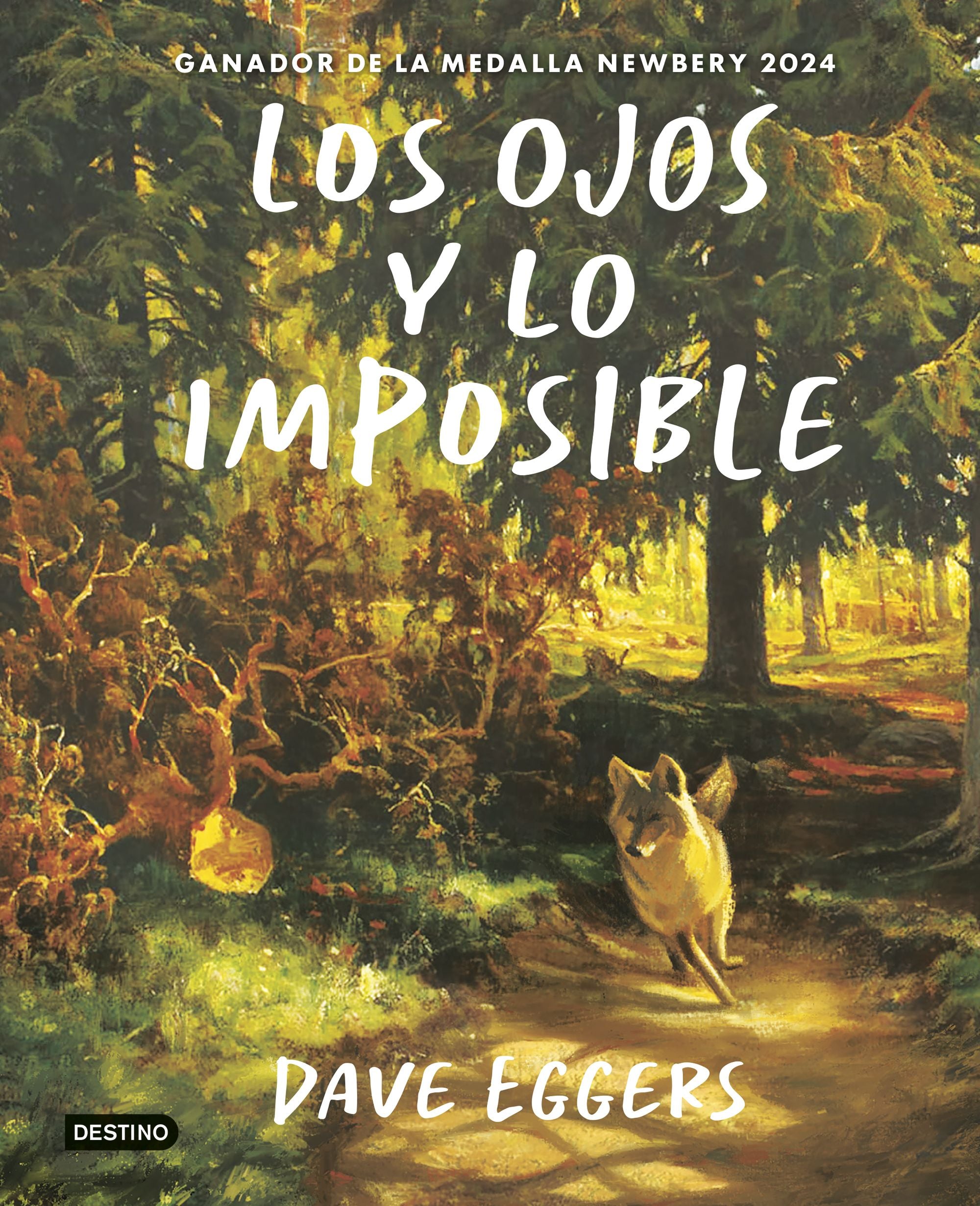 Los Ojos y lo imposible. Dave Eggers (Destino Infantil & Juvenil) 9788408309413