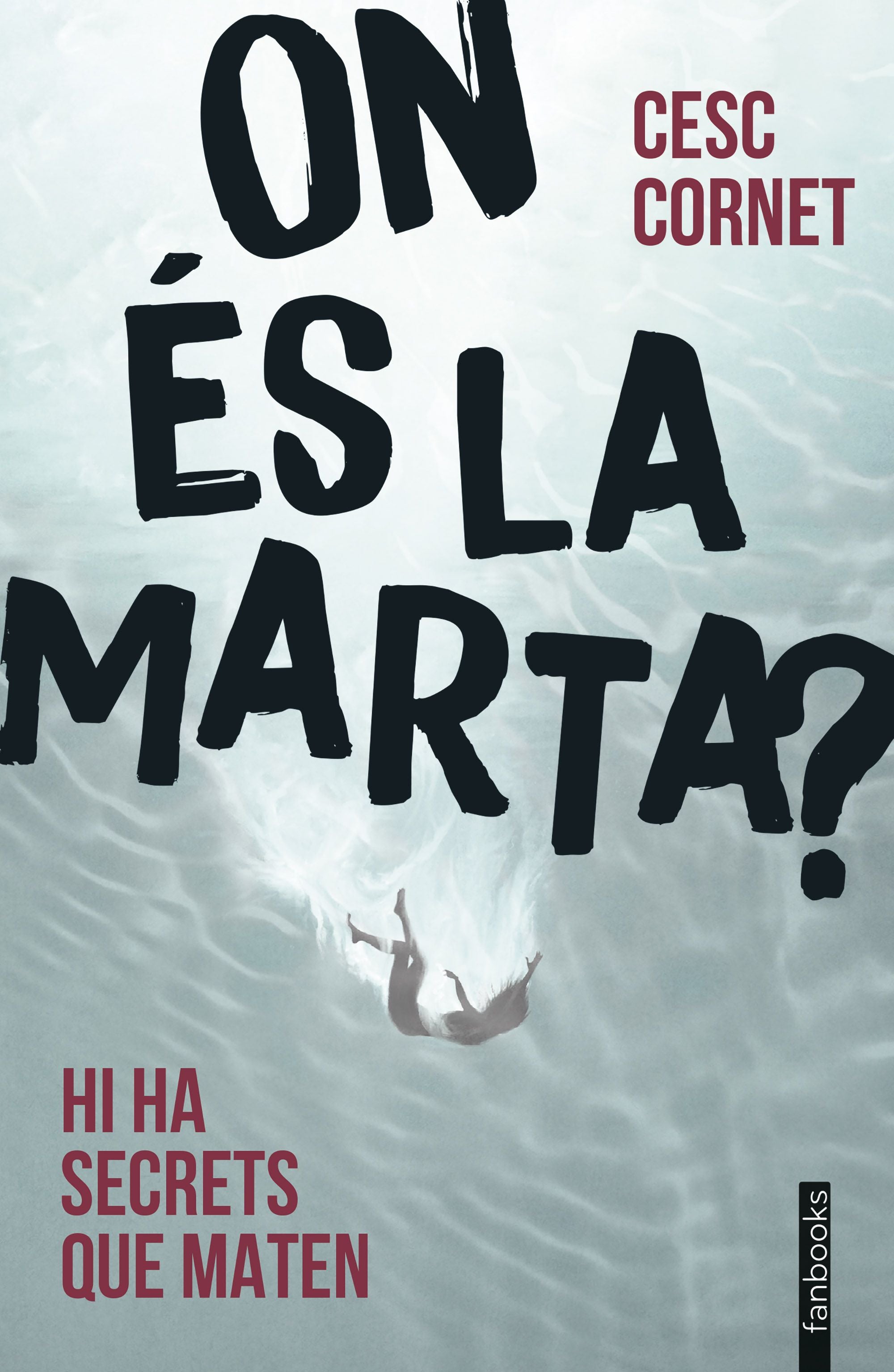 On és la Marta?. Cesc Cornet (fanbooks) 9788410028043
