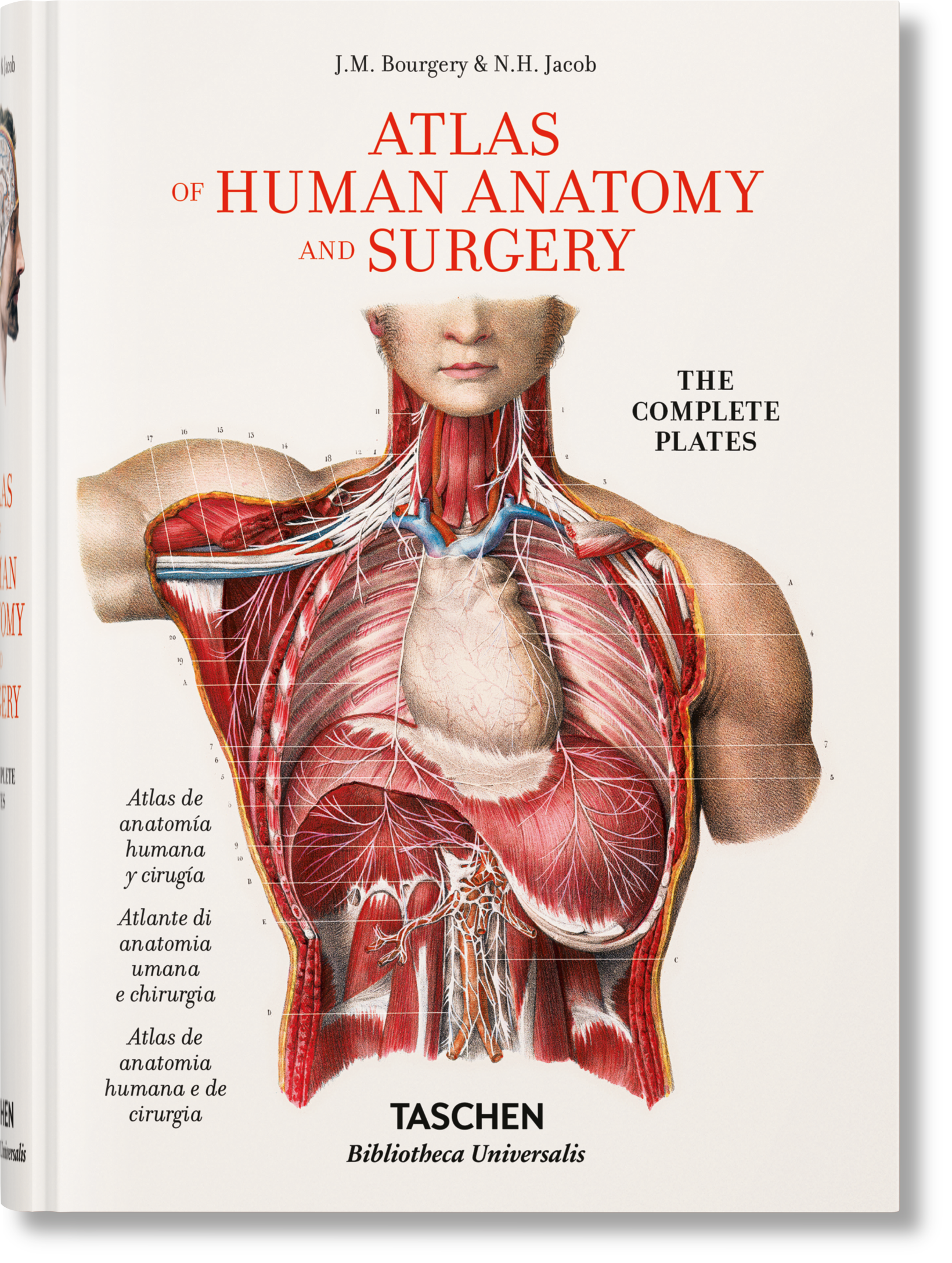 Bourgery: Atlas de anatomía humana y cirugía Imagen principal del producto