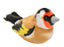 Peluche Rspb Ii Jilguero Europeo Wild Republic