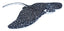 Peluche Ck Aguila Wild Republic