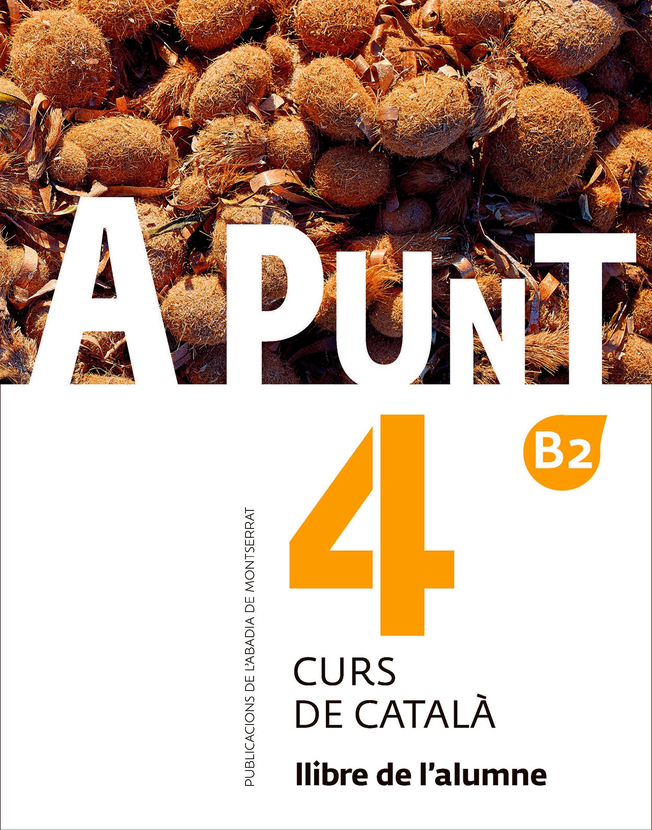 A punt. Curs de català. Llibre de l'alumne, 4. Vilagrasa Grandia, Albert (Publicacions de l'Abadia de Montserrat, S.A.) 9788498839937 Imagen principal del producto
