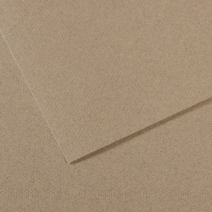 PAPEL MI-TEINTES 50X65 60% ABEJA 160G NUMERO 429 | 10 UNIDADES | (GUARRO & CANSON)