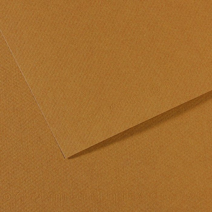PAPEL MI-TEINTES 50X65 321034 | 10 UNIDADES | (GUARRO & CANSON) Imagen principal del producto