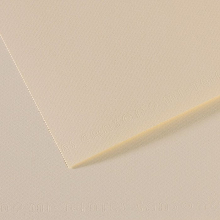 PAPEL MI-TEINTES 50X65 160GR ( 110) FLOR DE LYS | 10 UNIDADES | (GUARRO & CANSON) Imagen principal del producto