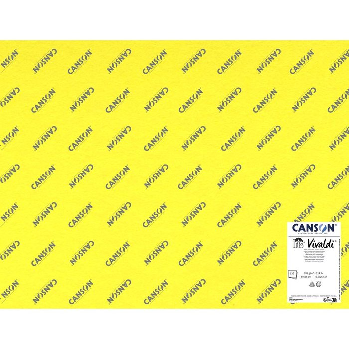 PACK 120 CARTULINA IRIS 50X65 185 GR COLORES VIVOS | 1 UNIDADES | (GUARRO & CANSON) Imagen principal del producto