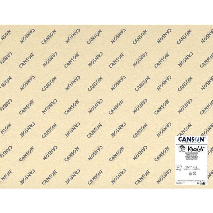PACK 120 CARTULINA IRIS 50X65 185 GR COLORES PASTEL | 1 UNIDADES | (GUARRO & CANSON) Imagen principal del producto