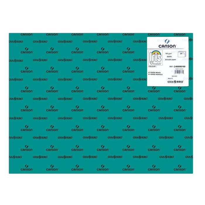 CARTULINA GUARRO 50X65 185GRS IRIS VERDE MENTA | 25 UNIDADES | (GUARRO & CANSON)