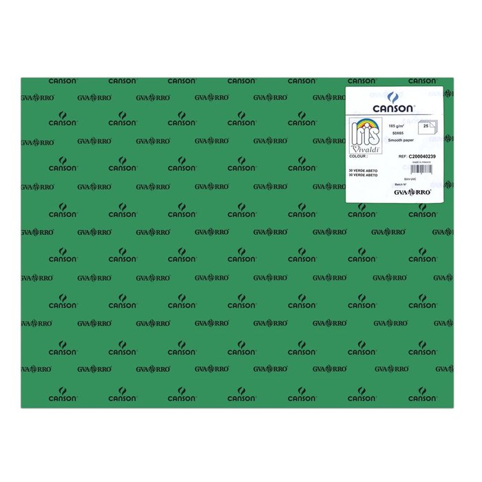 CARTULINA GUARRO 50X65 185GRS IRIS VERDE ABETO | 25 UNIDADES | (GUARRO & CANSON) Imagen principal del producto