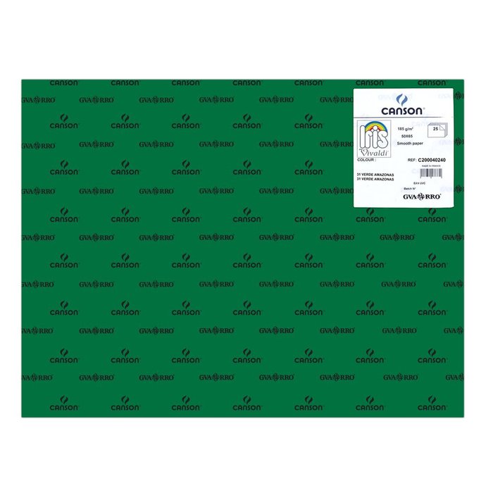 CARTULINA GUARRO 50X65 185GRS IRIS VERDE AMAZONAS | 25 UNIDADES | (GUARRO & CANSON) Imagen principal del producto