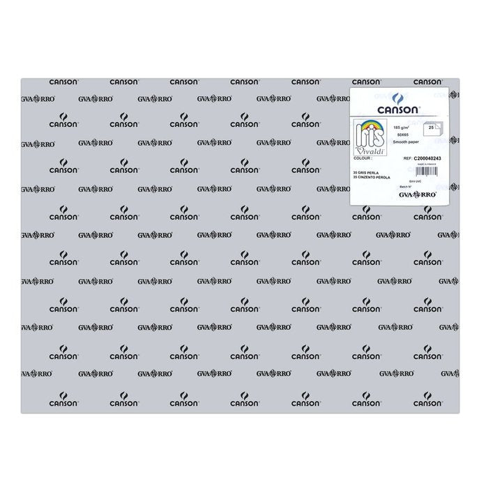 CARTULINA GUARRO 50X65 185GRS IRIS GRIS CLARO | 25 UNIDADES | (GUARRO & CANSON) Imagen principal del producto