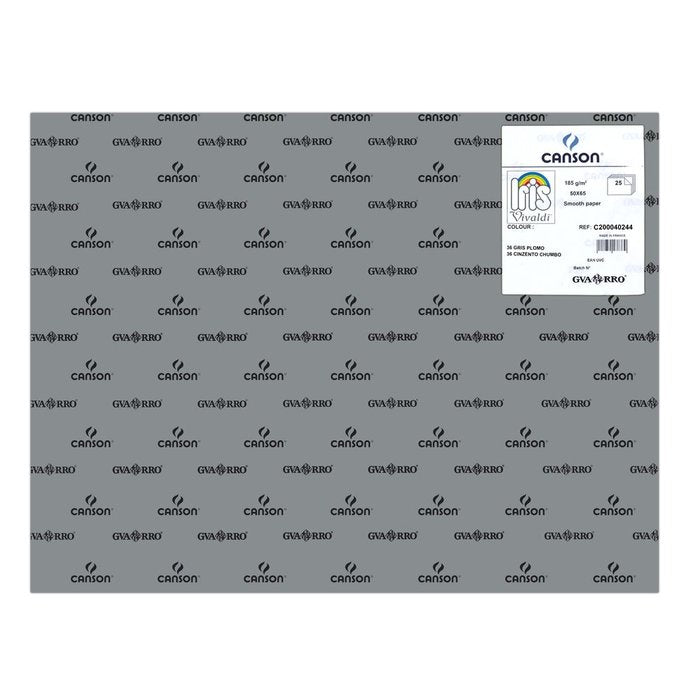 CARTULINA GUARRO 50X65 185GRS IRIS GRIS PLOMO | 25 UNIDADES | (GUARRO & CANSON)