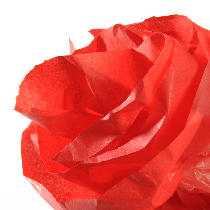Rollo Papel Seda 50x500cm 20G Rojo Canson