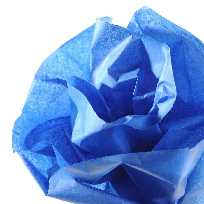 Rollo Papel Seda 50x500cm 20G Azul Ultramar Canson Imagen principal del producto