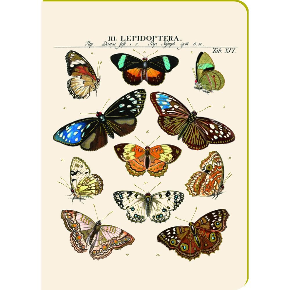 Cuaderno A5 Lámina Mariposas Vintage Pictura Imagen principal del producto