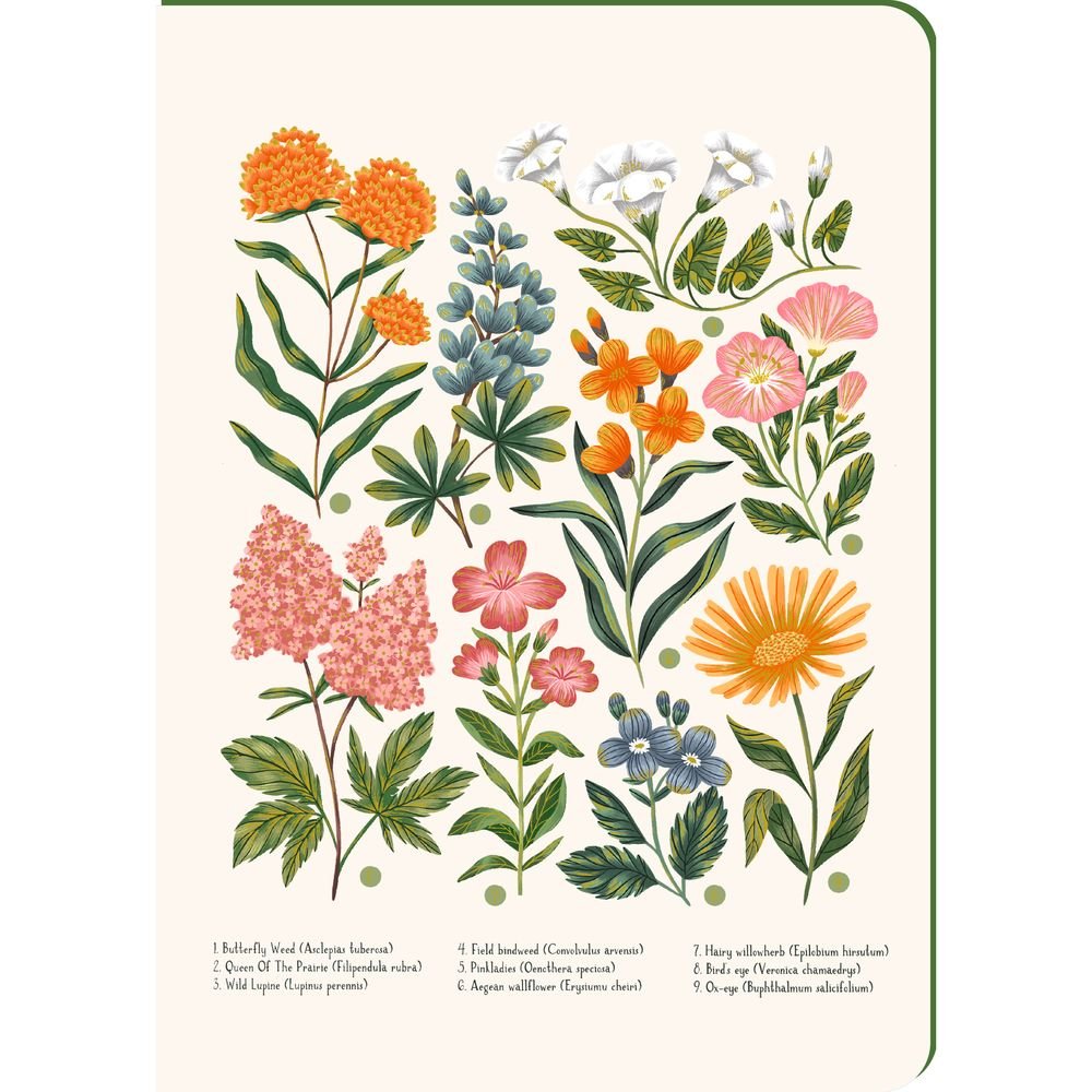 Cuaderno A5 Tapa Rígida Botánica Vintage Pictura Imagen principal del producto