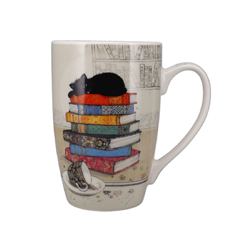 TAZA CERAMICA 490ML + CAJA GATO MONTAÑA LIBROS | KIUB | 1 UNIDAD | 3700572784397 Imagen principal del producto