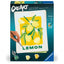 PINTAR POR NUMEROS CREART ADULTOS SERIE D LEMON POSTER | RAVENSBURGER GAMES | 1 UNIDAD | 4005556255153