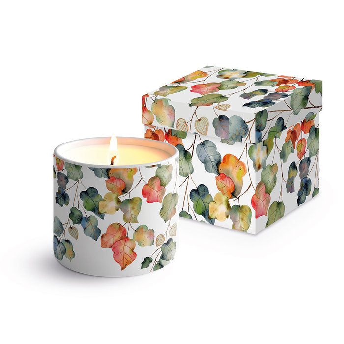 VELA PORCELANA CHINA HOJAS + CAJA REGALO | PPD | 1 UNIDAD | 4021766303361 Imagen principal del producto