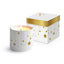 VELA PORCELANA FINA ESTRELLAS + CAJA REGALO | PPD | 1 UNIDAD | 4021766308458
