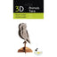 Maqueta Cartón 3D Búho Fridolin Maquetas