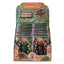 EXPOSITOR 18 GOMA BORRAR ZOO TARANTULA | 18 UNIDADES | (TRENDHAUS)