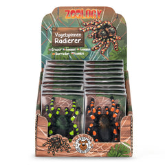 EXPOSITOR 18 GOMA BORRAR ZOO TARANTULA | 18 UNIDADES | (TRENDHAUS)