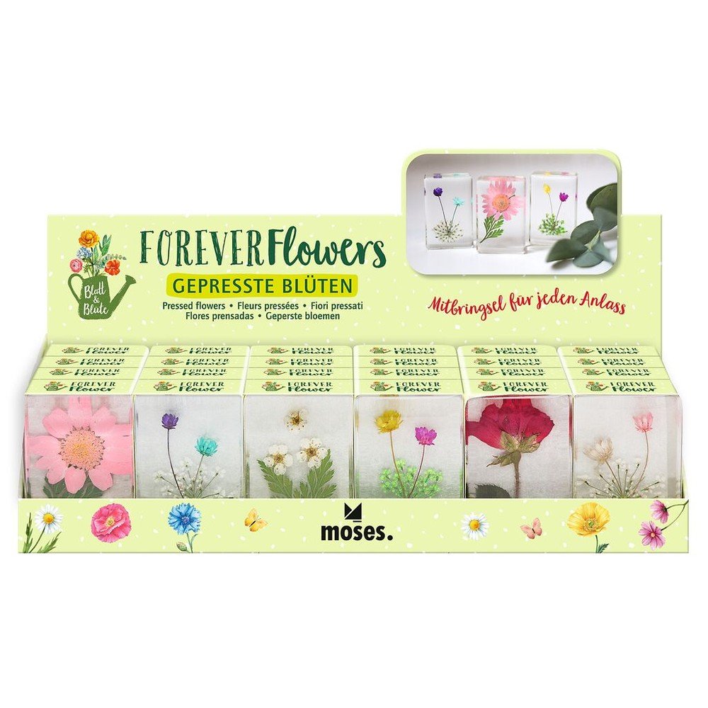 Expositor 24 Flores Prensadas Surtidas MOSES Imagen principal del producto