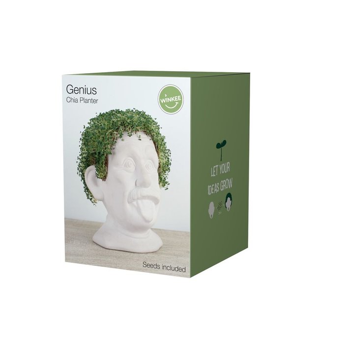 SET PLANTACION CABEZA EINSTEIN | WINKEE | 1 UNIDAD | 4260767642394