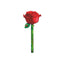 Marcapáginas Flores Rosa The Company Called If House