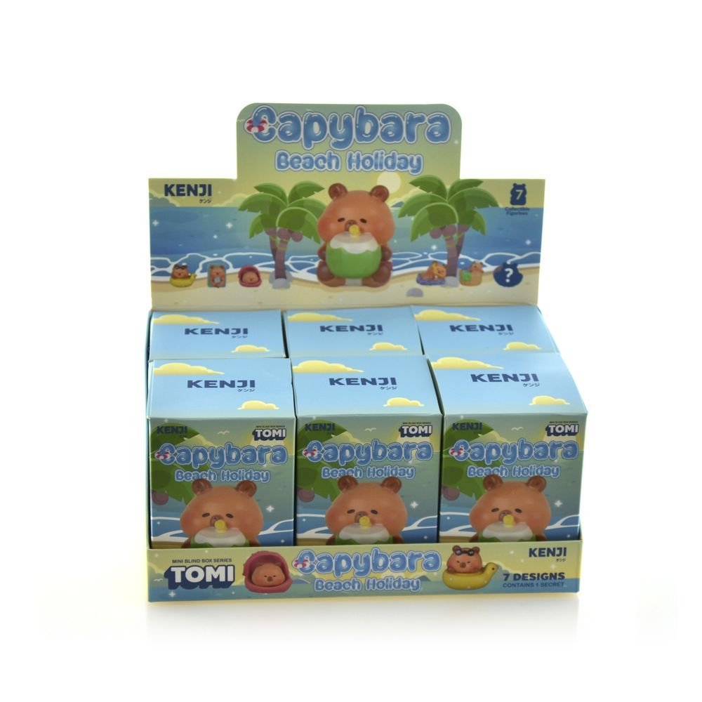 Display 6 Caja Sorpresa Capybara Beach Surtida Marca Fraga Kawaii Imagen principal del producto