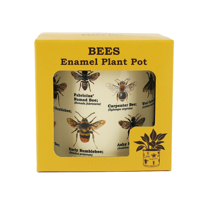 MACETERO DE DISEÑO TIPO DE ABEJAS | MAGS BRANDS | 1 UNIDAD | 5056004352565