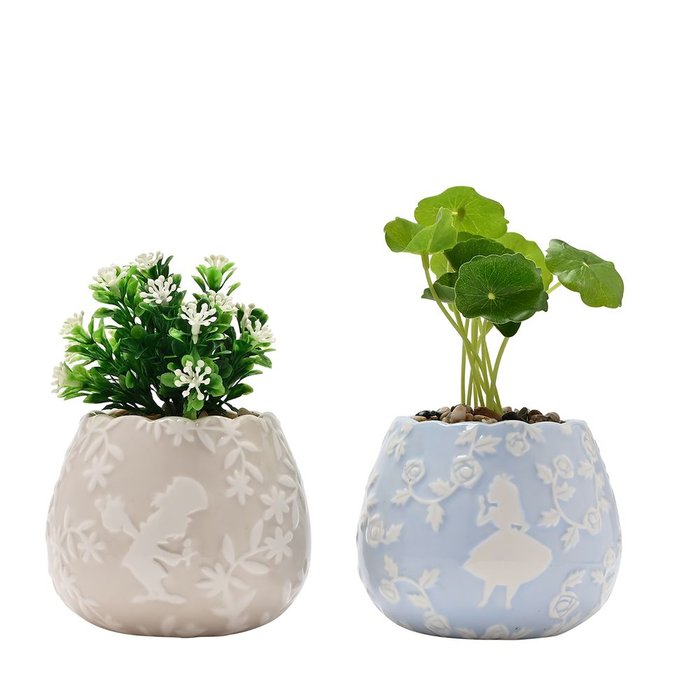 SET 2 MACETEROS ALICIA EN PAIS DE LAS MARAVILLAS CON PLANTA | WIDDOP DISNEY | 1 UNIDAD | 5063322048506
