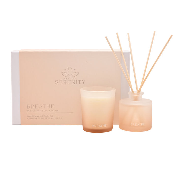 SET DIFUSOR Y VELA TONO MELOCOTON | WIDDOP | 1 UNIDAD | 5063322070514 Imagen principal del producto