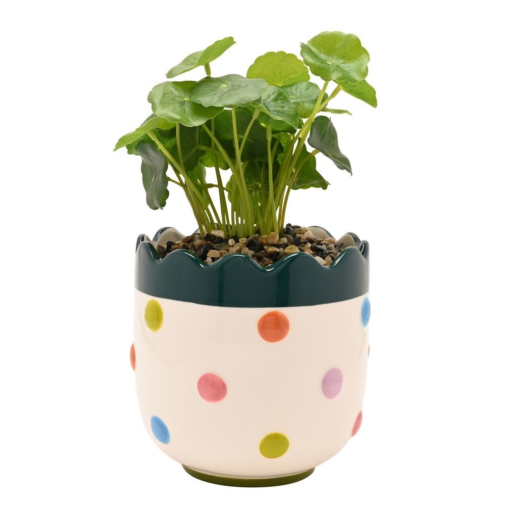 Macetero Burbujas con Flores y Planta Artificial WIDDOP