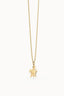 COLLAR CHOCLI TORTUGA 41-48 CM, | CHOCLI | 1 UNIDAD | 5404006053797