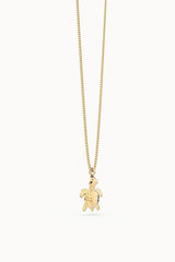 COLLAR CHOCLI TORTUGA 41-48 CM, | CHOCLI | 1 UNIDAD | 5404006053797