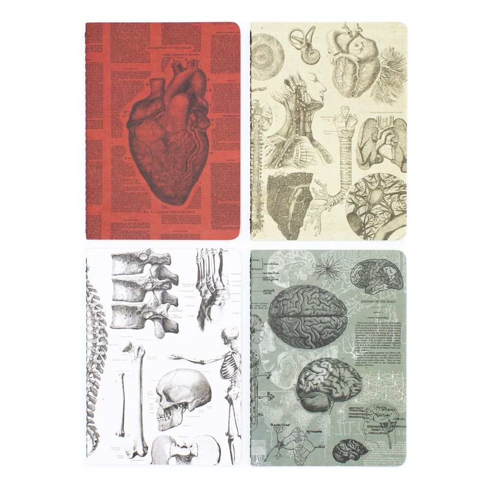 Set 4 Cuadernos de Bolsillo A6 Corazón Cognitive Ciencia