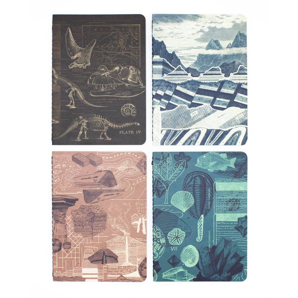 Set 4 Cuadernos de Bolsillo A6 Fosiles Cognitive Ciencia