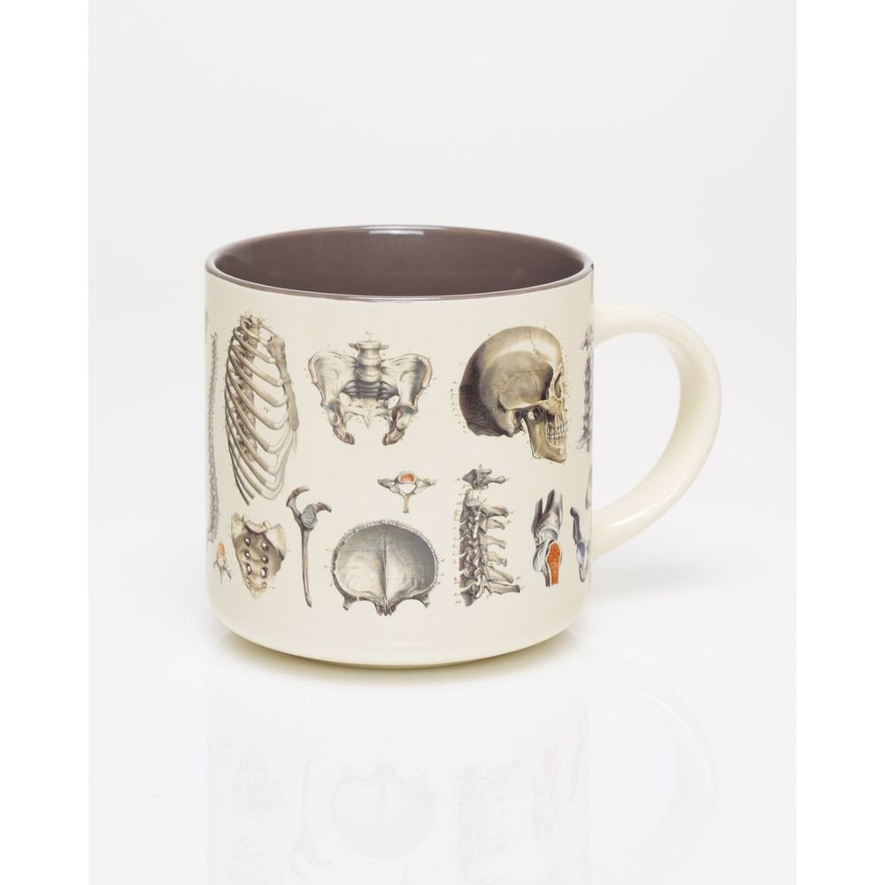 Taza cerámica esqueleto 430 ml Cognitive Ciencia