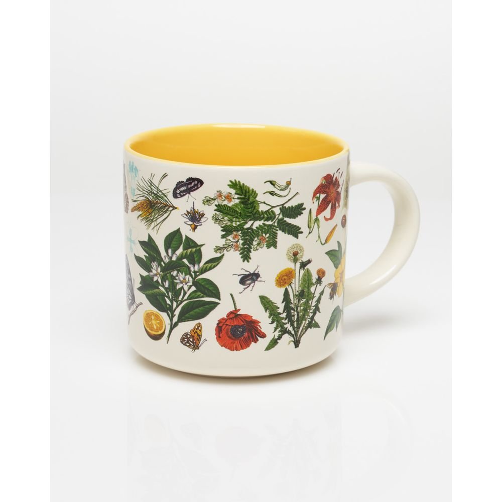 Taza Ceramica Plantas E Insectos 430 ML