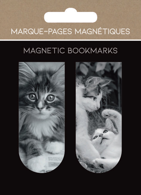 MARCAPAGINAS MAGNETICOS CHATONS GATOS | 1 UNIDADES | (PICTURA)
