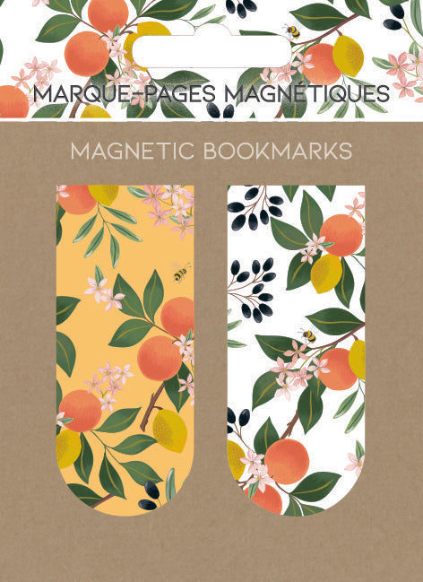 MARCAPAGINAS MAGNETICOS ORANGES NARANJAS | 6 UNIDADES | (PICTURA)